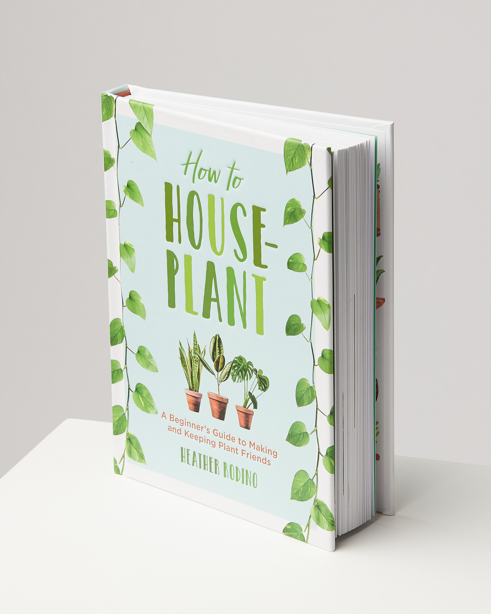 How To House Plant By Heather Rodino - Lotus Gallery