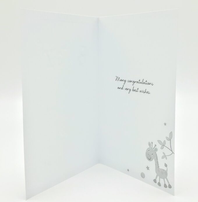 Congratulations You Have A Little Boy By Simon Elvin - Image 2