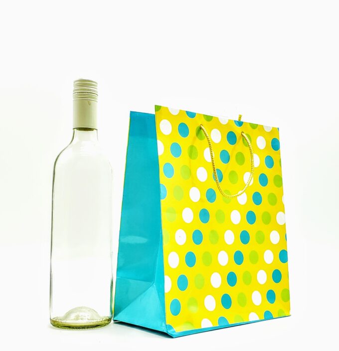 Polka Dot Colourful Bag
