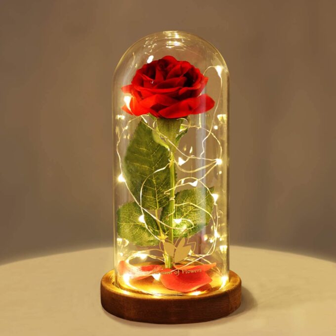 Enchanted Glass Dome Rose