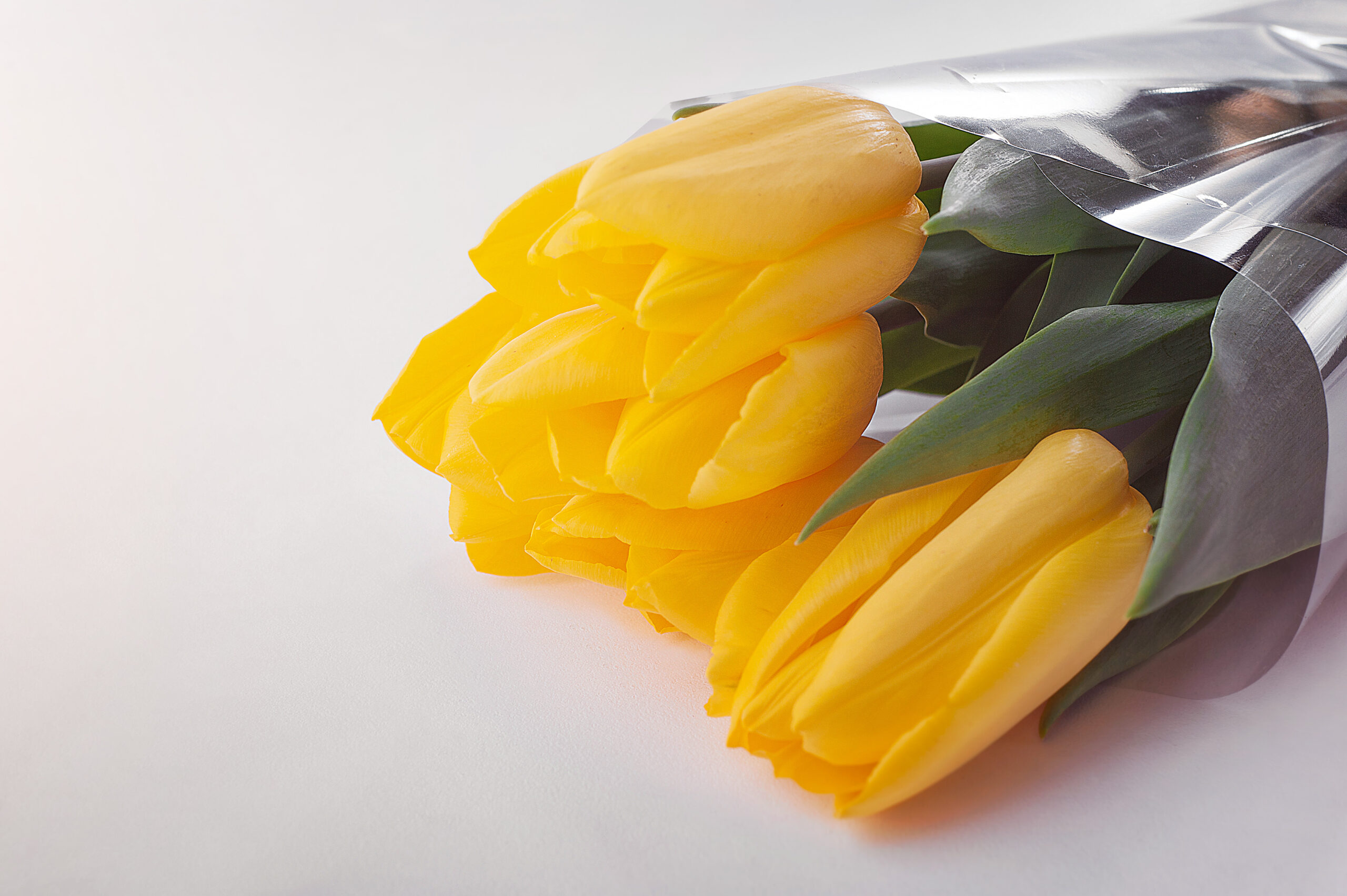 Fresh Flowers