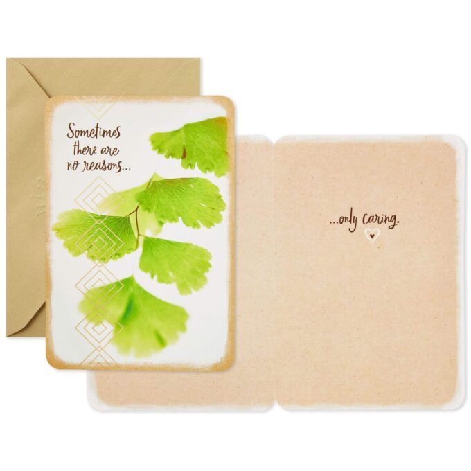 Hallmark Just Because Cards