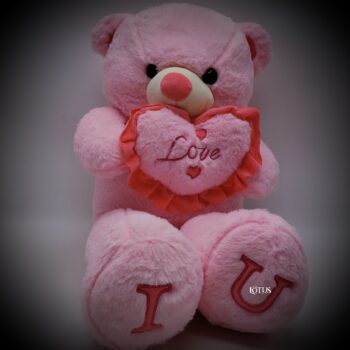pink teddy