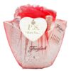 Wrapped Freixenet Gift